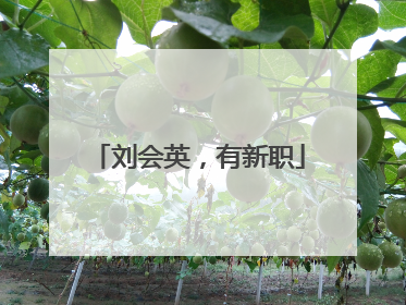 刘会英，有新职