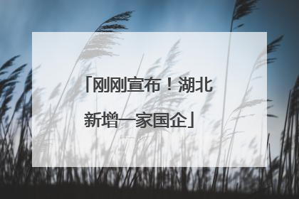 刚刚宣布！湖北新增一家国企