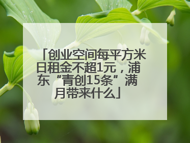创业空间每平方米日租金不超1元，浦东“青创15条”满月带来什么