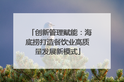 创新管理赋能：海底捞打造餐饮业高质量发展新模式
