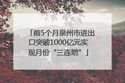 前5个月泉州市进出口突破1000亿元实现月份“三连增”