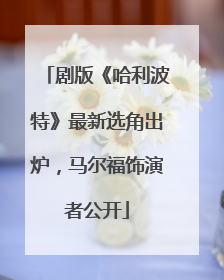 剧版《哈利波特》最新选角出炉，马尔福饰演者公开