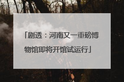 剧透：河南又一重磅博物馆即将开馆试运行