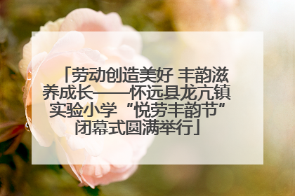 劳动创造美好 丰韵滋养成长——怀远县龙亢镇实验小学“悦劳丰韵节”闭幕式圆满举行