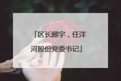 区长顾宇，任洋河股份党委书记