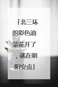 北三环的彩色油菜花开了，就在朝阳安贞