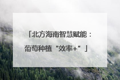 北方海南智慧赋能：葡萄种植“效率+”