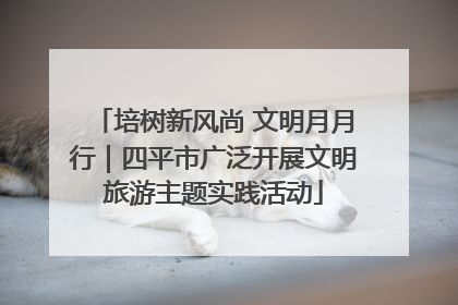 培树新风尚 文明月月行｜四平市广泛开展文明旅游主题实践活动