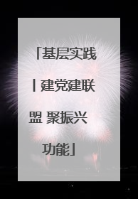 基层实践丨建党建联盟 聚振兴功能