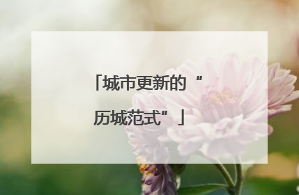 城市更新的“历城范式”