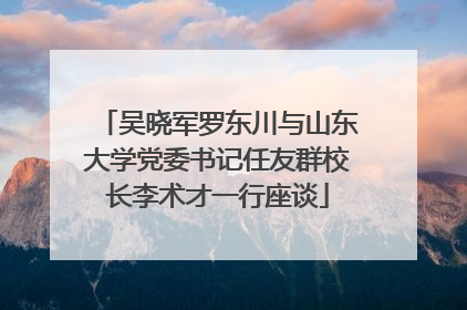 吴晓军罗东川与山东大学党委书记任友群校长李术才一行座谈