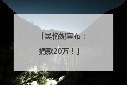 吴艳妮宣布：捐款20万！