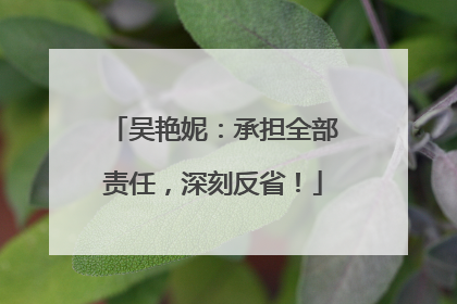 吴艳妮：承担全部责任，深刻反省！