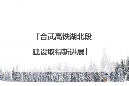 合武高铁湖北段建设取得新进展