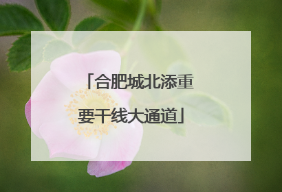 合肥城北添重要干线大通道