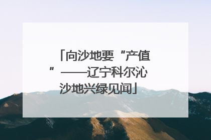 向沙地要“产值”——辽宁科尔沁沙地兴绿见闻