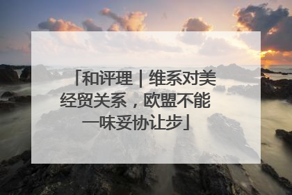 和评理｜维系对美经贸关系，欧盟不能一味妥协让步