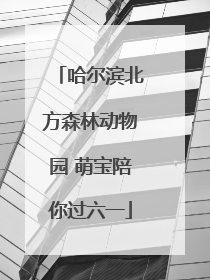 哈尔滨北方森林动物园 萌宝陪你过六一