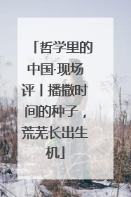 哲学里的中国·现场评丨播撒时间的种子，荒芜长出生机