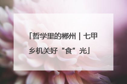 哲学里的郴州｜七甲乡机关好“食”光