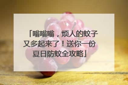 嗡嗡嗡，烦人的蚊子又多起来了！送你一份夏日防蚊全攻略