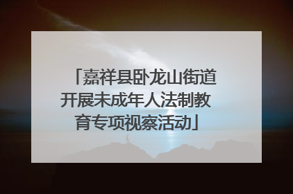 嘉祥县卧龙山街道开展未成年人法制教育专项视察活动