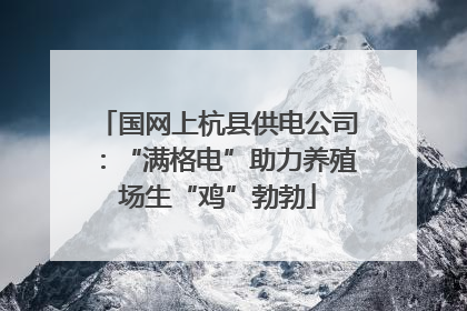 国网上杭县供电公司：“满格电”助力养殖场生“鸡”勃勃
