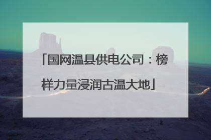 国网温县供电公司：榜样力量浸润古温大地