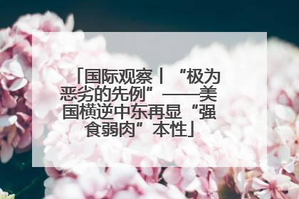 国际观察丨“极为恶劣的先例”——美国横逆中东再显“强食弱肉”本性