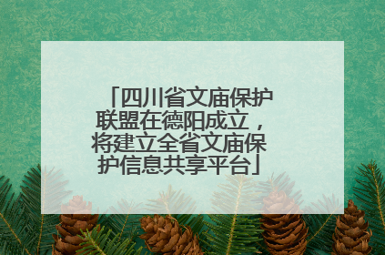 四川省文庙保护联盟在德阳成立，将建立全省文庙保护信息共享平台