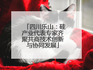 四川乐山：硅产业代表专家齐聚共商技术创新与协同发展