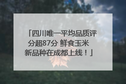 四川唯一平均品质评分超87分 鲜食玉米新品种在成都上线！