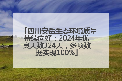 四川安岳生态环境质量持续向好：2024年优良天数324天，多项数据实现100%
