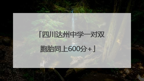 四川达州中学一对双胞胎同上600分+