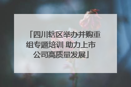 四川辖区举办并购重组专题培训 助力上市公司高质量发展