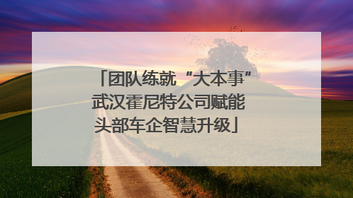 团队练就“大本事” 武汉霍尼特公司赋能头部车企智慧升级
