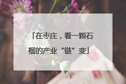 在枣庄，看一颗石榴的产业“链”变