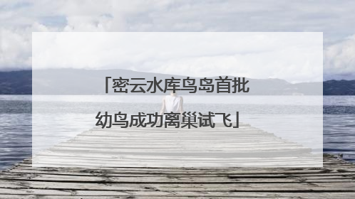 密云水库鸟岛首批幼鸟成功离巢试飞
