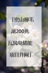 密山柳毛湖200兆瓦风电储能项目并网