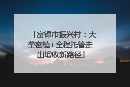 富锦市振兴村：大垄密植+全程托管走出增收新路径
