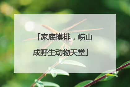 家底摸排，崂山成野生动物天堂
