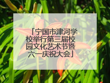 宁国市津河学校举行第三届校园文化艺术节暨六一庆祝大会
