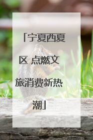 宁夏西夏区 点燃文旅消费新热潮