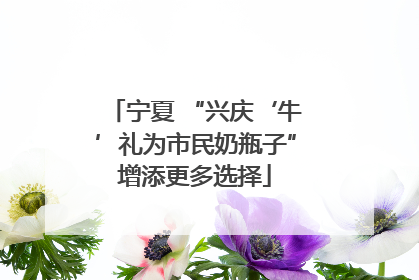 宁夏 “兴庆‘牛’礼为市民奶瓶子”增添更多选择