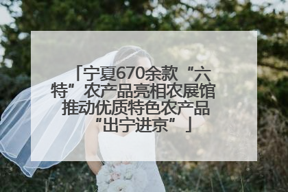 宁夏670余款“六特”农产品亮相农展馆 推动优质特色农产品“出宁进京”