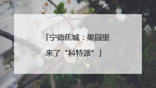 宁德蕉城：果园里来了“科特派”