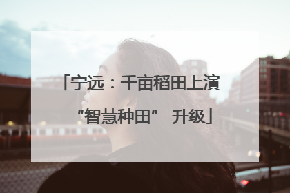 宁远：千亩稻田上演 “智慧种田” 升级