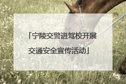 宁陵交警进驾校开展交通安全宣传活动