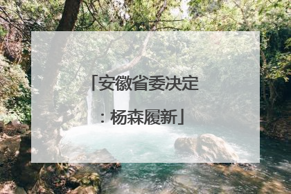 安徽省委决定：杨森履新