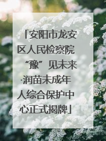 安阳市龙安区人民检察院“豫”见未来·润苗未成年人综合保护中心正式揭牌